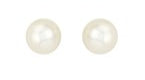 Bigger pearl studs