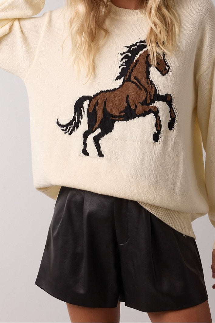 Galloping horse sweater