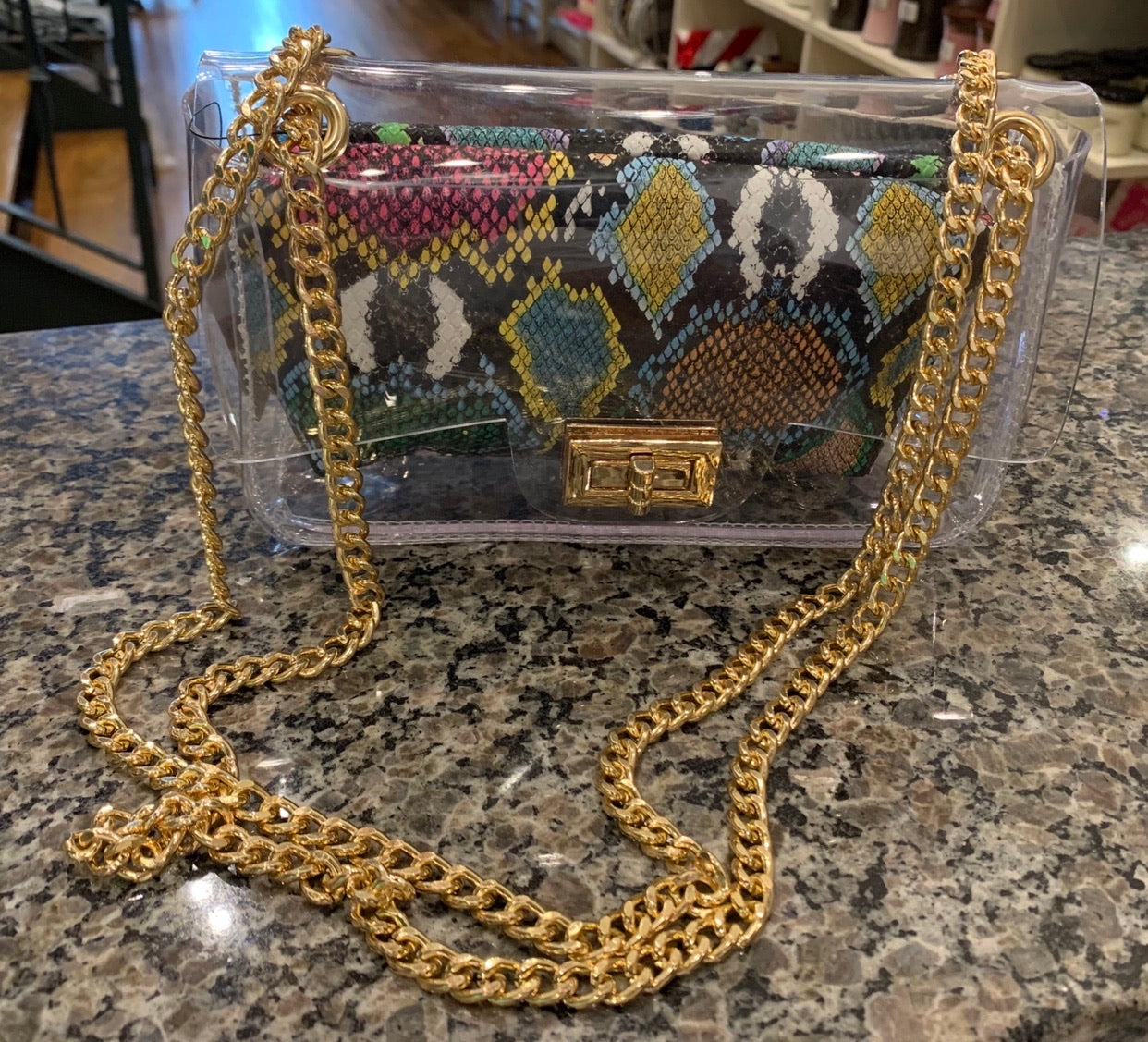 Clear bag with snake insert pouch